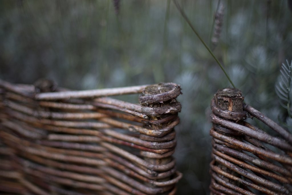 gartenstatus august 2014